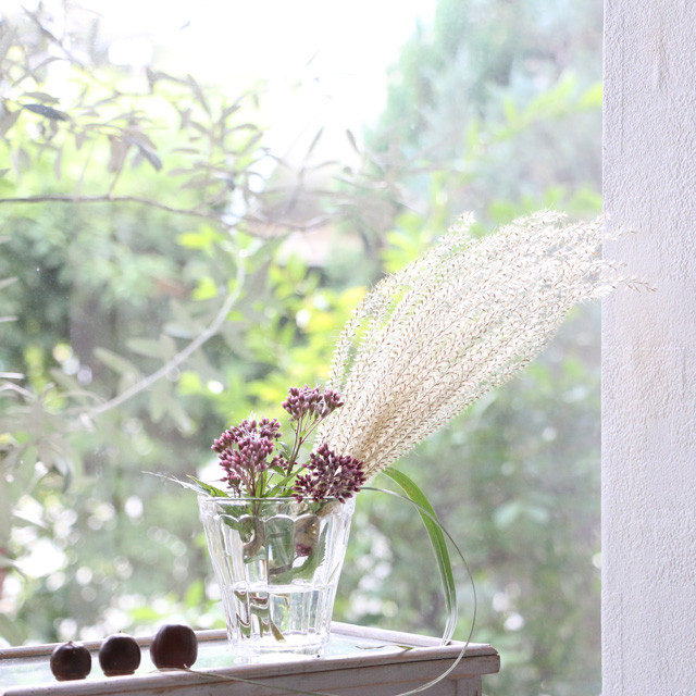  [雑草アレンジ]秋の七草ススキを100均セリアのコップに　5分でできるすてきアレンジ