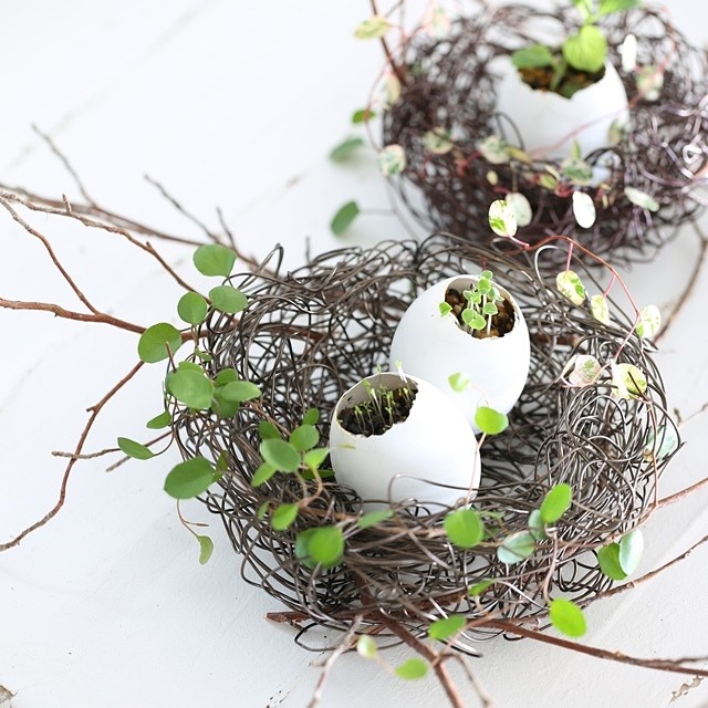 イースターの演出にも♪　丸めるだけでできる鳥の巣風エッグプランター