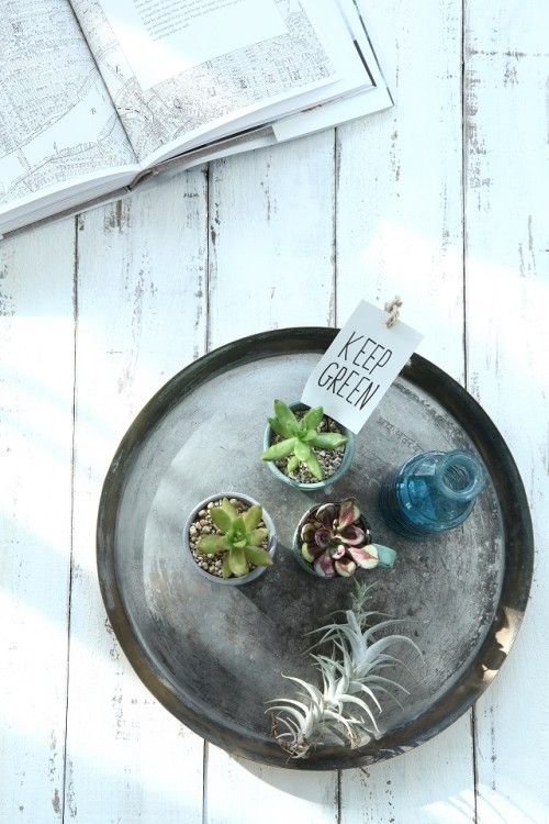 テイストを揃えてイメージをより明確に　～『フォトスタイリング100のルール』から