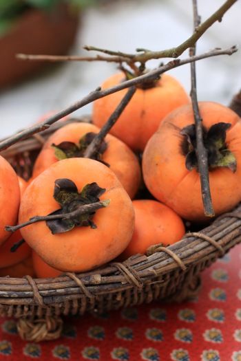 柿の季節です　～柿の簡単チャツネ～