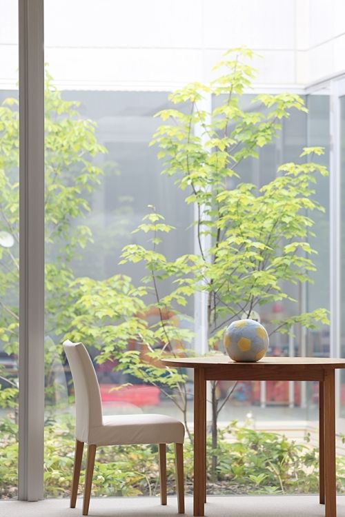 チャイケモ“いつもの暮らしの中で治療を･･･” （後編）