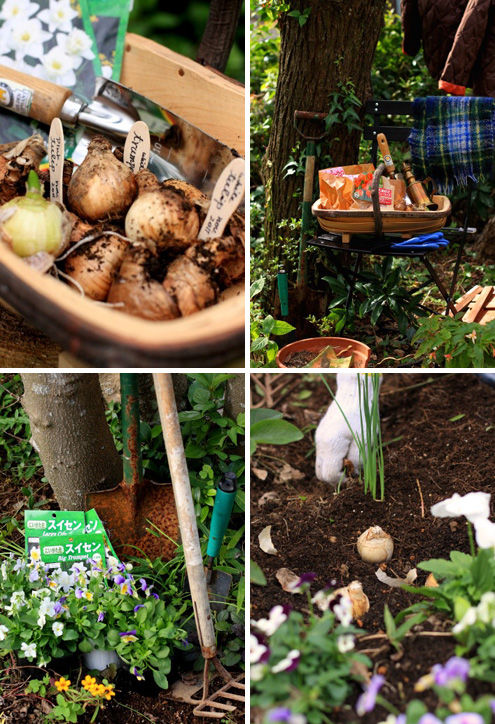 秋の庭仕事～来年の春のために～