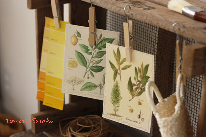 １００円クリップで留めるミニインテリア