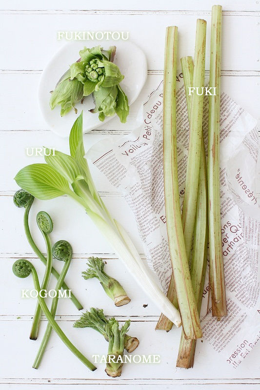 春の香りを味わう 、山菜の リゾット