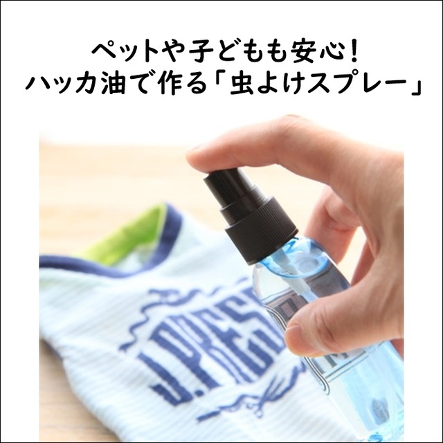 ペットや子どもも安心！ ハッカ油で作る「虫よけスプレー」