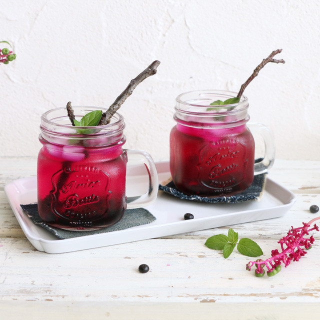 自然と遊ぶ♪ ヨウシュヤマゴボウのなんちゃってジュースとお絵かき