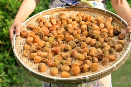 ウメの土用干し