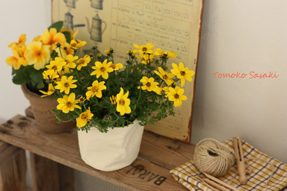 鉢カバー・鉢ポットで気軽に花を飾る
