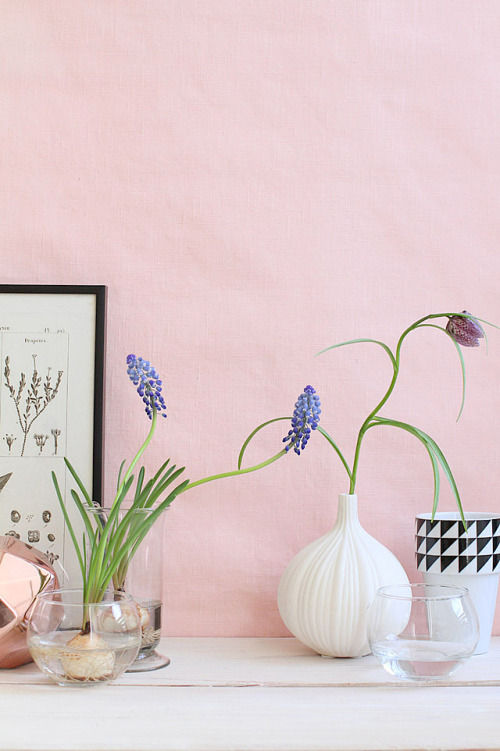 注目トレンド！おしゃれなムスカリの飾り方とエッグスラット　～　「ナチュラルな暮らしのヒント」から