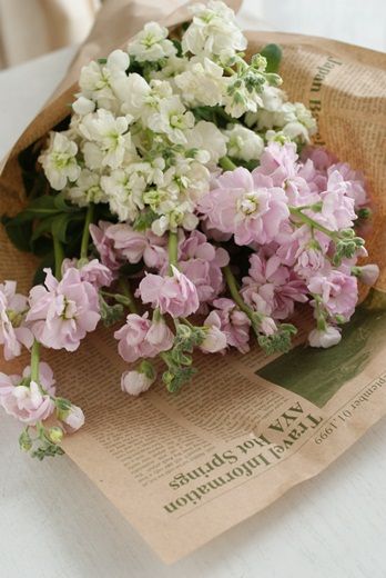 予算1000円で！　ボリュームたっぷり、ふわふわ可愛いスプレーストック