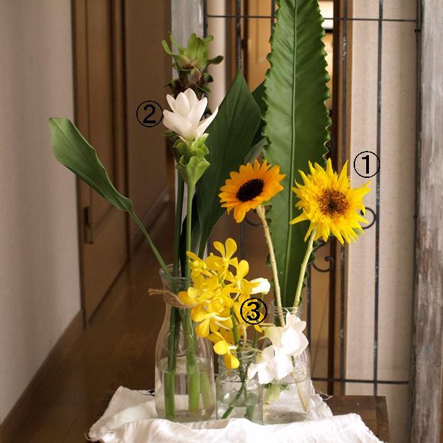 暑い季節に長持ちする花　3選～ヒマワリ・クルクマ・ラン～