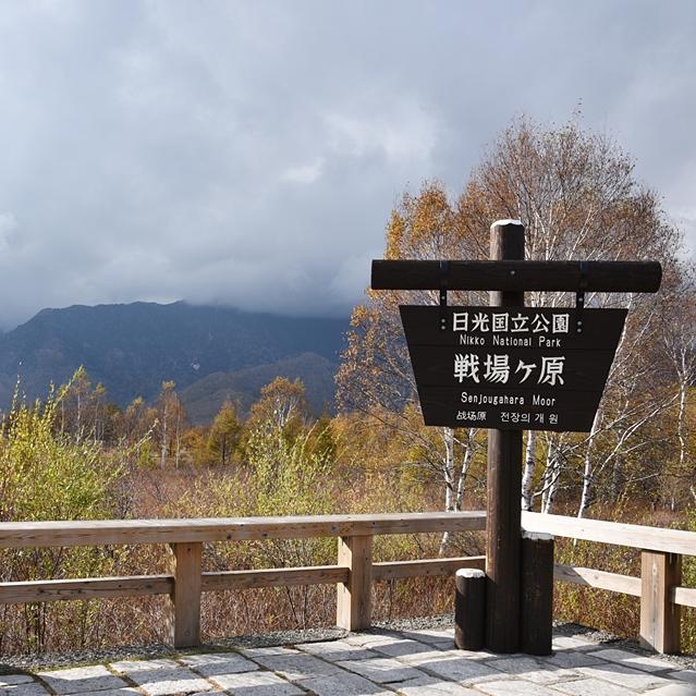 【栃木ぶらり花の旅】奥日光・戦場ヶ原の絶景　前編