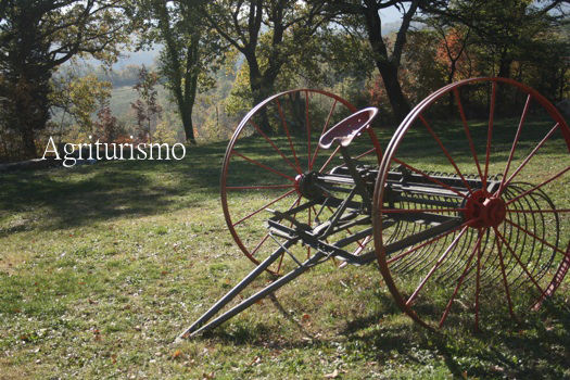 新しい旅のスタイル アグリツーリズムの魅力