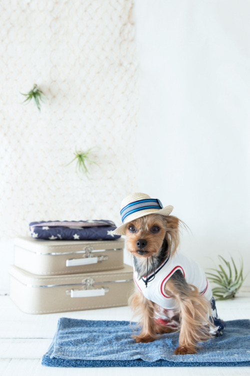 ワンコと過ごす大人の休日（旅行グッズ・トイレ編）