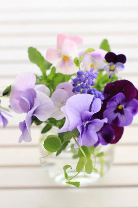 押し花で、切り花で。ガーデン・フラワーを楽しもう