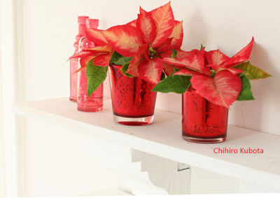 クリスマスの簡単ミニスタイリング