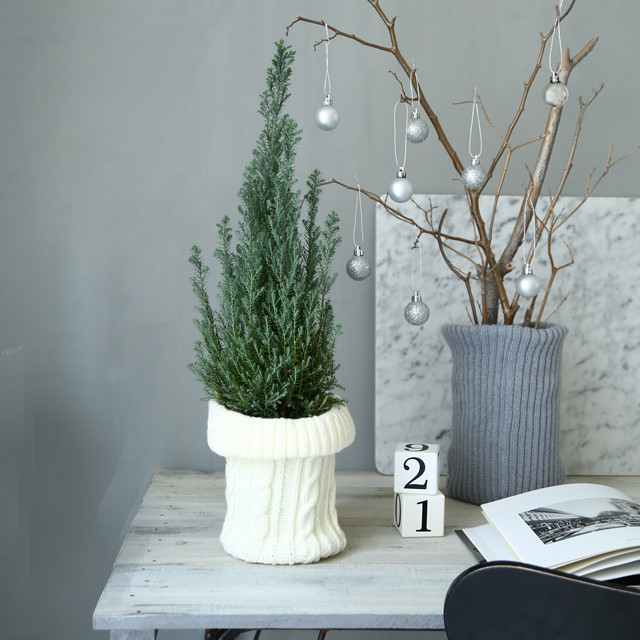 ダイソーのニット帽を鉢植えカバーに♪  ケーブル編みニット風で、あったかインテリア