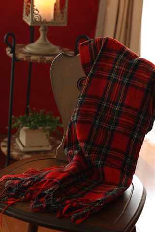 チェック柄、Ｌｅｔ’ｓ Ｔｒｙ～１枚のストールで今年モードを楽しもう