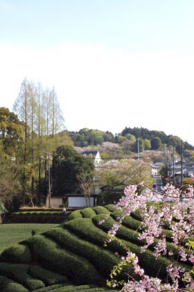 Ｇａｒｄｅｎ＊Ｇａｒｄｅｎ　～お庭の時間