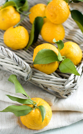 手づくりの柚子茶で風邪予防