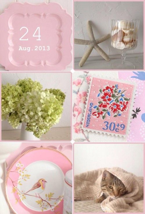 第2・第3弾オリジナルフレーム登場！「ミルフォトブック」、9月6日のイベントにも参加します