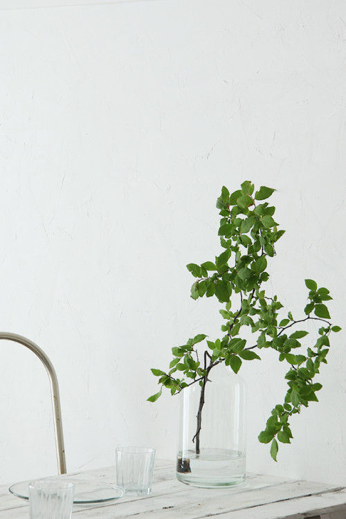 夏を涼しく！グリーンを楽しむアイディア　～　「ナチュラルな暮らしのヒント」から