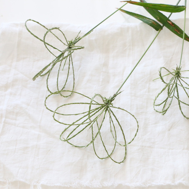 自然と遊ぶ♪　お子さんと一緒に　イネ科の雑草で　傘づくり＆草相撲