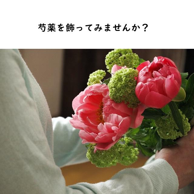 今が旬！お気に入りの芍薬を飾ってみませんか？