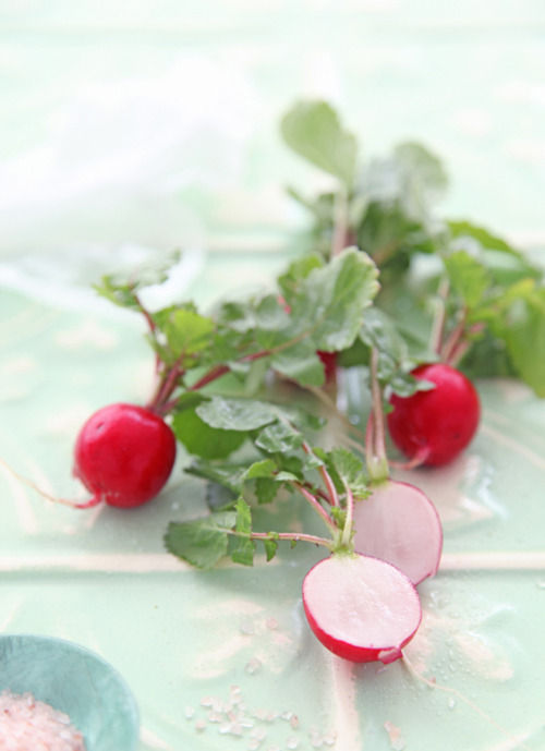 窪田千紘の「幸せの法則」～　専業主婦は才能にあふれている