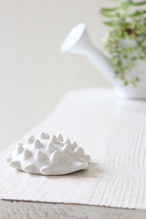 春の快適生活におすすめのアイテム2つ　～　「ナチュラルな暮らしのヒント」から