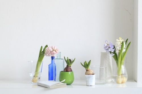 最旬スタイリング～早春の花ヒヤシンスは、春の光と空気感とともに