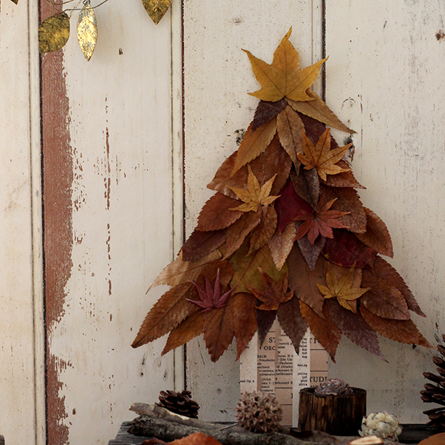 移ろいゆく色も楽しみに 落ち葉でつくる簡単クリスマスツリー