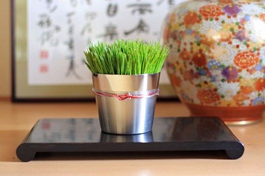 とってもカンタン！松アレンジ