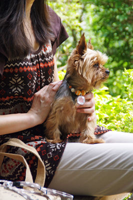 ＱＲコードを使ったペットのネームタグアクセサリー