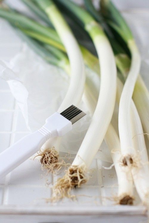 おすすめキッチン道具　ネギカッター