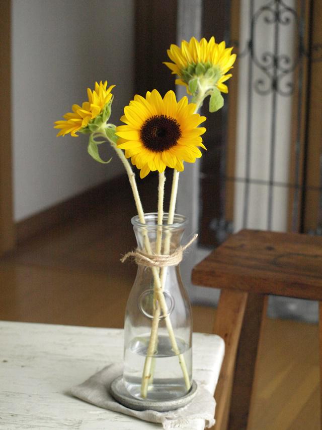 ひまわり　ヒマワリ　長持ち　活け方　アレンジメント