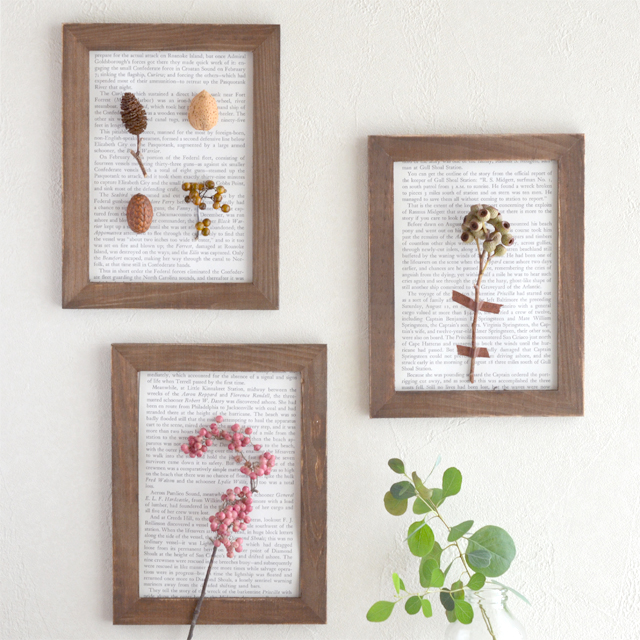 簡単！ 木の実と100均フォトフレームで作るボタニカルアート