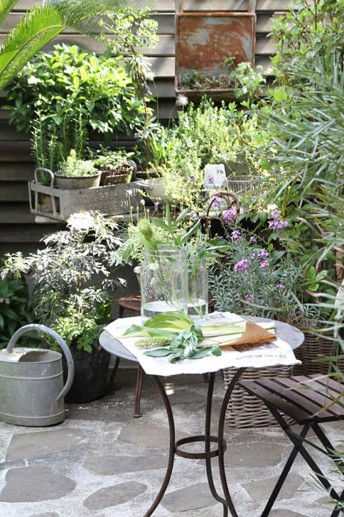 ブリキと赤錆で「BROCANTE」スタイル！ 鉢中心で楽しむ初心者の庭