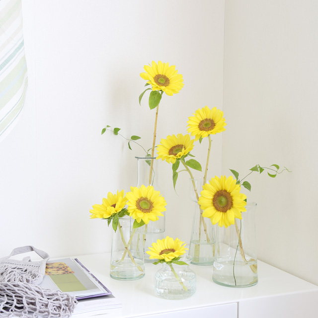 ［室内花撮影のコツ］写真はどちらがおすすめ？！横カットと縦カット