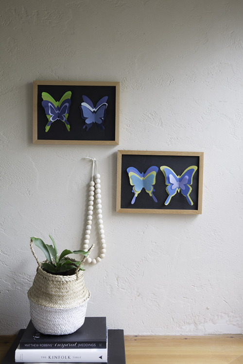 夏休みの宿題にどう？ MUJIのフレームで、なんちゃって蝶の標本♪