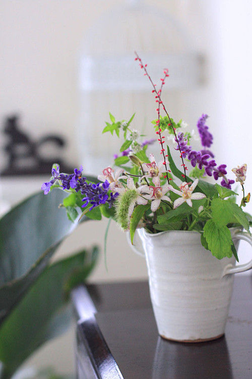 ホトトギスと秋の草花で、野に咲くような自然派アレンジ
