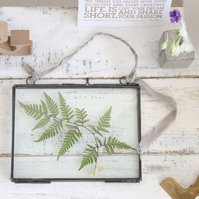 [カジュアルフラワー] いまどき押し花でちょっとすてきな暮らし　シダの押し花