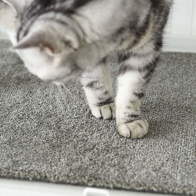 1枚ずつ買えて便利♪ 猫との暮らしに無印タイルカーペットがおすすめな5つの理由