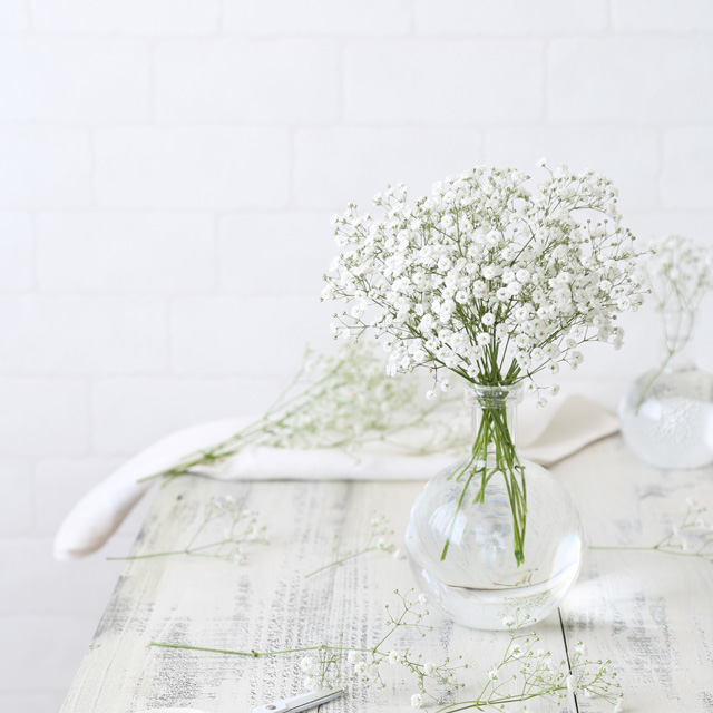 ［室内花撮影のコツ］白い花を白く撮ろう！　ホワイトバランス（WB）の使い方