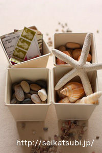 夏の思い出を集めてお洒落に演出