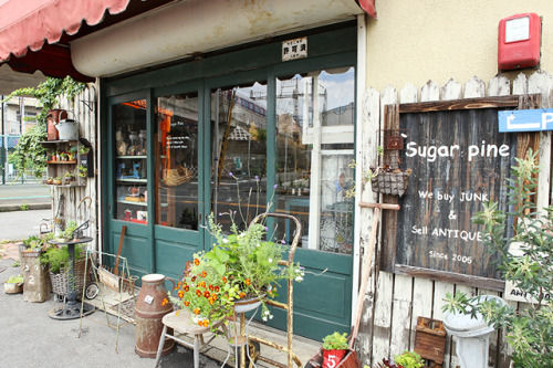 ジャンクなテイストで人気！アンティークショップ「Sugar Pine」にお邪魔して来ました