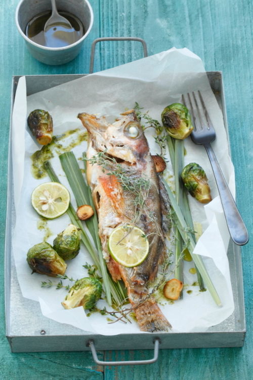 オーブンにお任せ♪アウトドア料理にも　メバルのハーブグリル