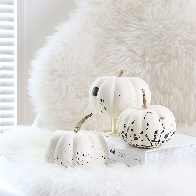 ちょっとだけハロウィン！ 墨汁で作るモノトーンかぼちゃで大人ディスプレイ