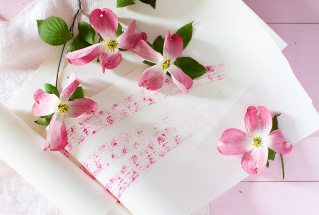 桜からハナミズキへ　～友好を伝える花