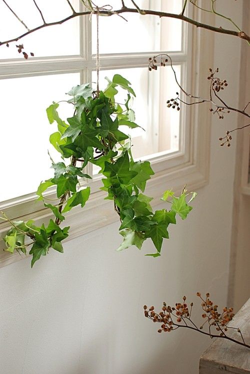 ぐるぐる巻きつけて、簡単アイビーのドアサイン・リース